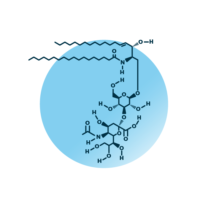 An example for the molecular structure of ganglioside GM4, specifically GM4 36:1;2.
