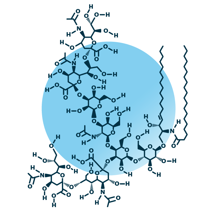 An example for the molecular structure of ganglioside GQ1, specifically GQ1 38:1;2.