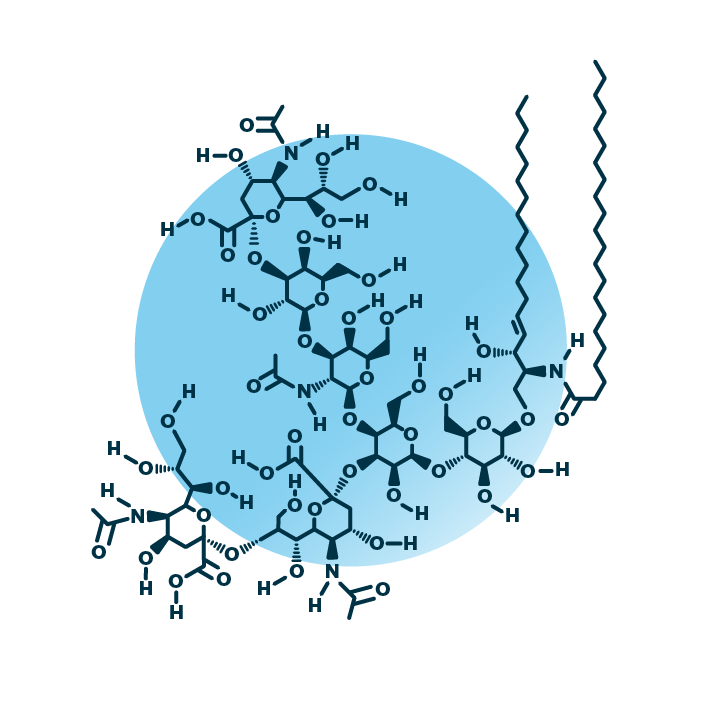 An example for the molecular structure of ganglioside GT1, specifically GT1 40:1;2.