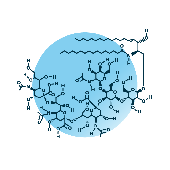 An example for the molecular structure of ganglioside GT2, specifically GT2 34:1;2.