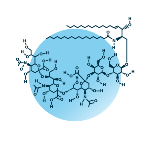 An example for the molecular structure of ganglioside GT3, specifically GT3 36:1;2.