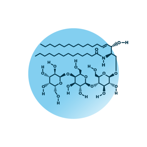 An example for the molecular structure of globoside Gb3, specifically Gb3 32:1;2.