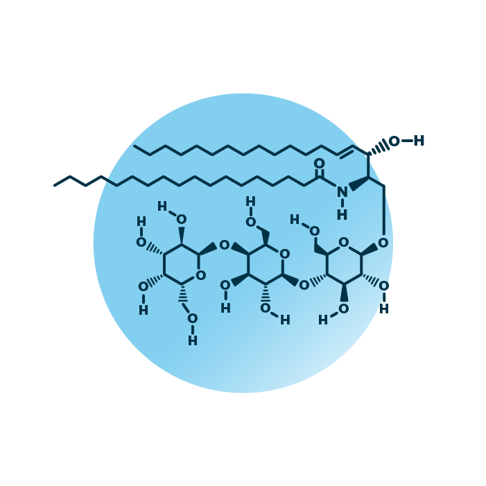 An example for the molecular structure of globoside Gb3, specifically Gb3 36:1;2.