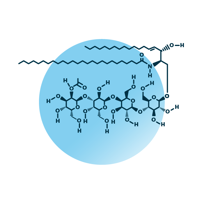 An example for the molecular structure of globoside Gb4, specifically Gb4 44:1;2.