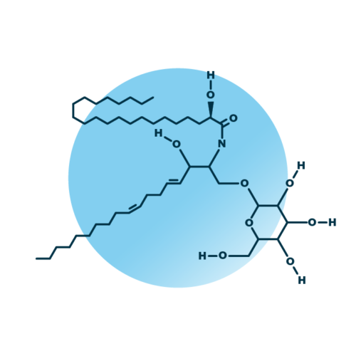 An example for the molecular structure of hexosylceramide, specifically HexCer 40:2;3.