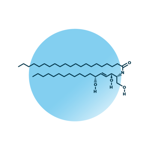 An example for the molecular structure of non-hydroxy-6-hydroxy-sphingosine, specifically NH 18:1;3/21:0;0.