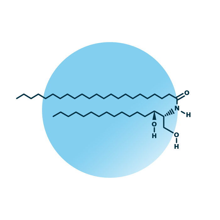 An example for the molecular structure of non-hydroxy-dihydrosphingosine, specifically NdS 16:0;2/23:0;0.