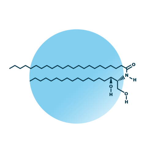 An example for the molecular structure of non-hydroxy-dihydrosphingosine, specifically NdS 18:0;2/23:0;0.