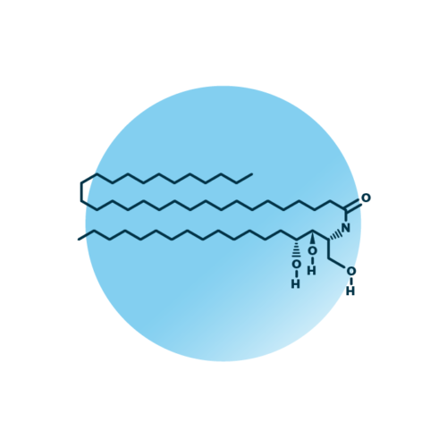 An example for the molecular structure of non-hydroxy-phytosphingosine, specifically NP 18:0;3/30:0;0.