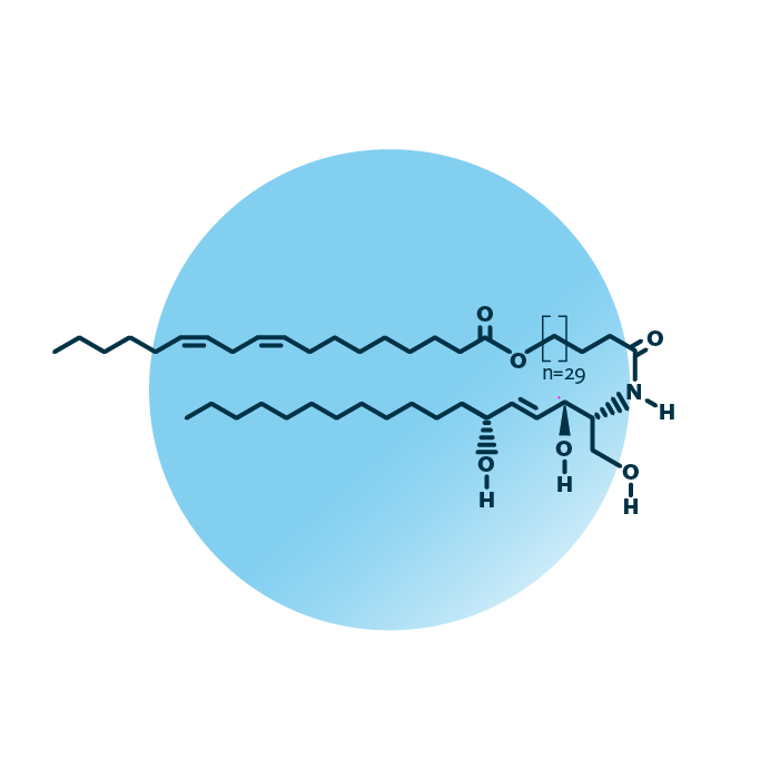 An example for the molecular structure of omega-hydroxy-6-hydroxy-sphingosines, specifically EOH 68:3;3.