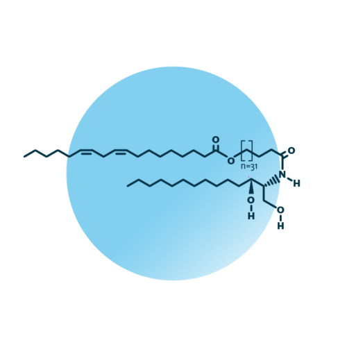 An example for the molecular structure of omega-hydroxy-dihydrosphingosines, specifically EOdS 66:2;2.