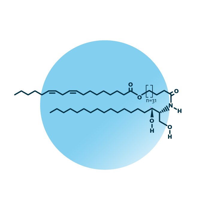 An example for the molecular structure of omega-hydroxy-dihydrosphingosines, specifically EOdS 70:2;2.