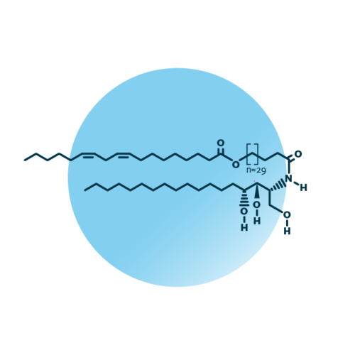 An example for the molecular structure of omega-hydroxy-phytosphingosines, specifically EOP 68:2;3.