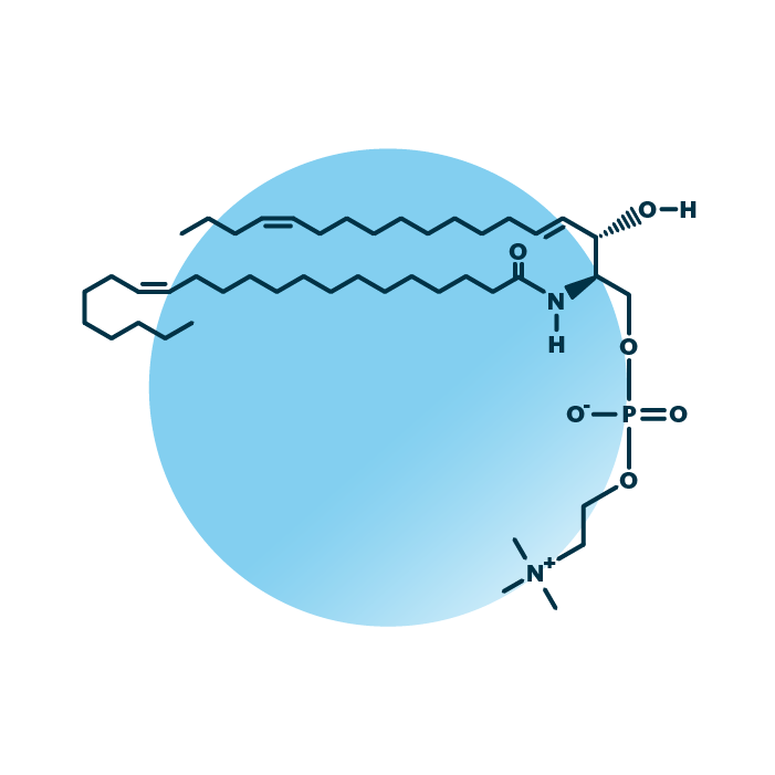 An example for the molecular structure of sphingomyelin, specifically SM 40:3;2.