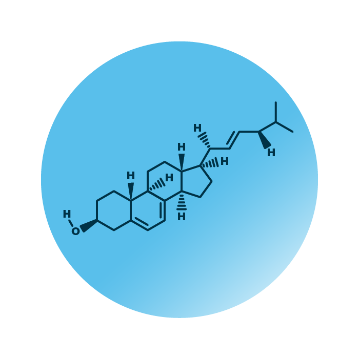 General molecular structure of ergosterol.