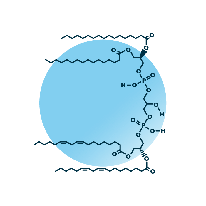 An example for the molecular structure of cardiolipin, specifically CL 69:4;0.