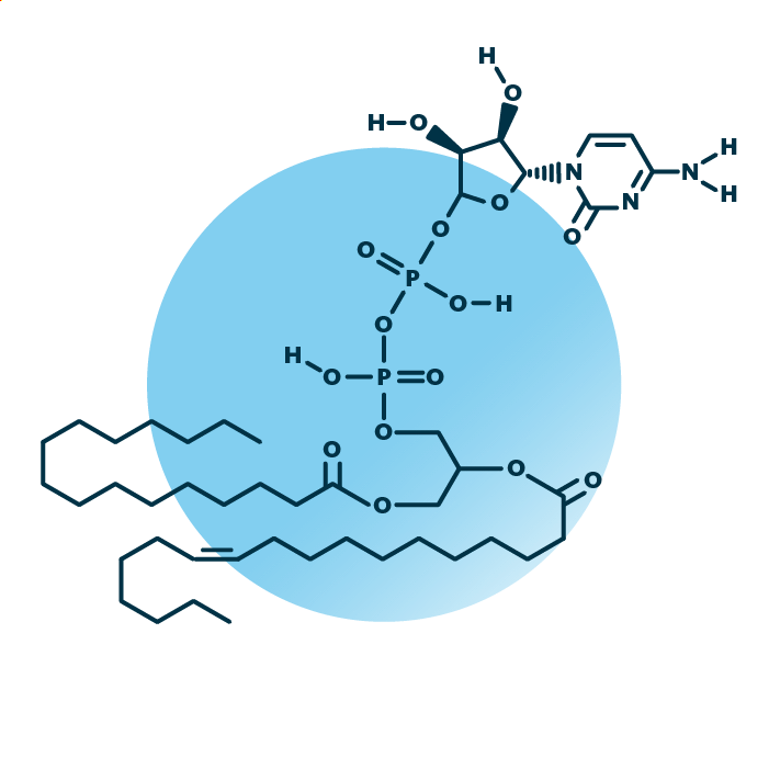 An example for the molecular structure of CDP-diacylglycerol, specifically CDP-DAG 34:1;0.