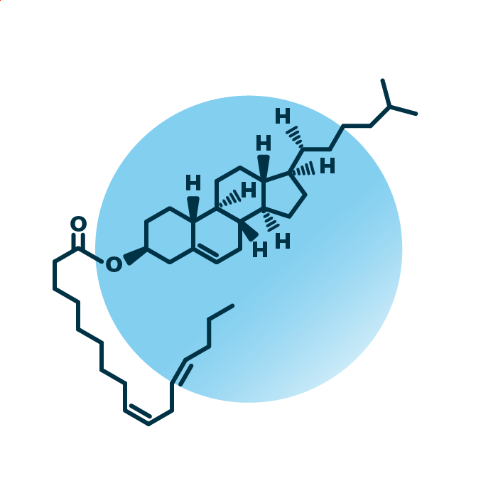 An example for the molecular structure of cholesteryl esters, specifically CE 16:2;0.