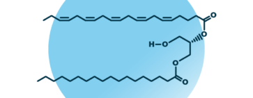 An example for the molecular structure of diacylglycerol, specifically DAG 18:0;0_20:5;0.