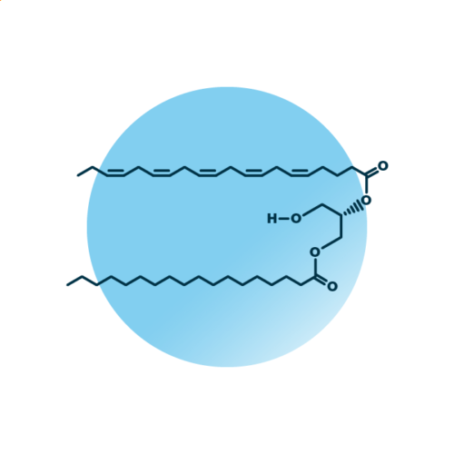 An example for the molecular structure of diacylglycerol, specifically DAG 18:0;0_20:5;0.