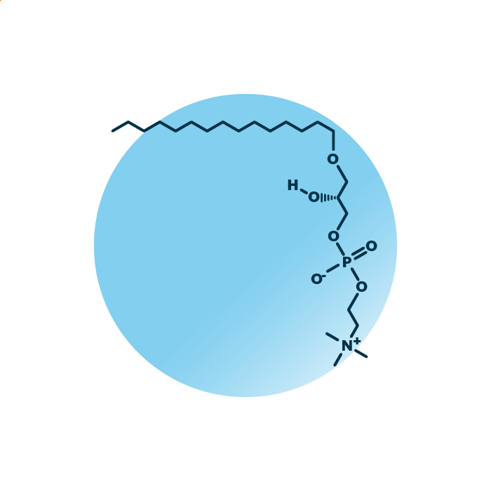 An example for the molecular structure of ether-linked lyso-phosphatidylcholine, specifically LPC O- 15:0;0.