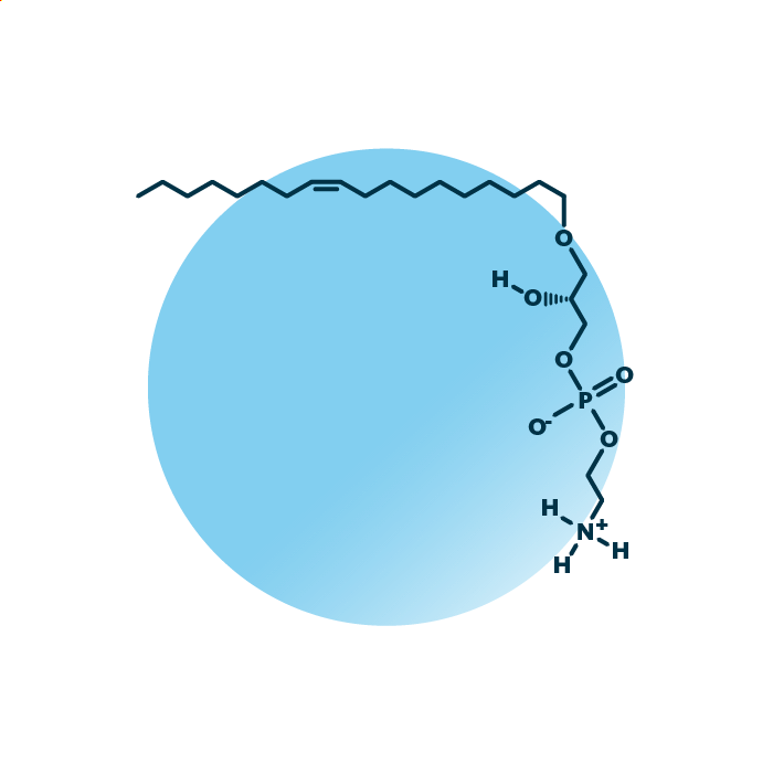 An example for the molecular structure of ether-linked lyso-phosphatidylethanolamine, specifically LPE O- 18:1;0.