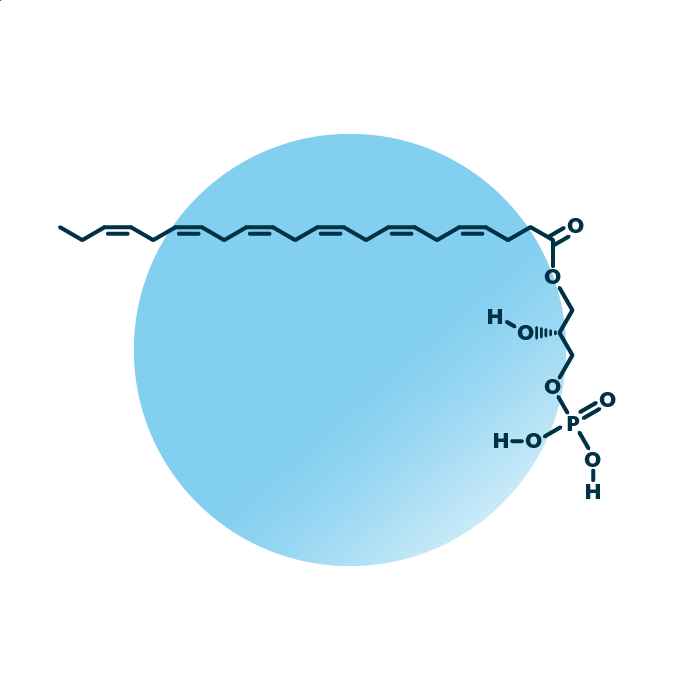 An example for the molecular structure of lyso-phosphatidate, specifically LPA 22:6;0.