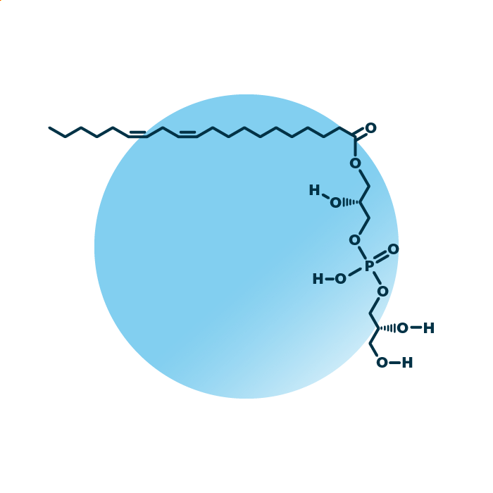 An example for the molecular structure of lyso-phosphatidylglycerol, specifically LPG 20:2;0.