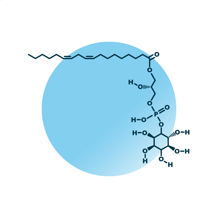 An example for the molecular structure of lyso-phosphatidylinositol, specifically LPI 18:2;0.