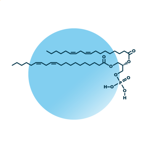 An example for the molecular structure of phosphatidate, specifically PA 18:2;0_20:2;0.