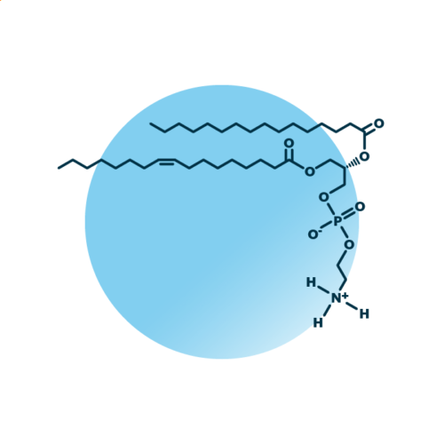 An example for the molecular structure of phosphatidylethanolamine, specifically PE 16:0;0_17:1;0.