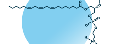 An example for the molecular structure of phosphatidylethanolamine, specifically PE 18:1;0_20:3;0.