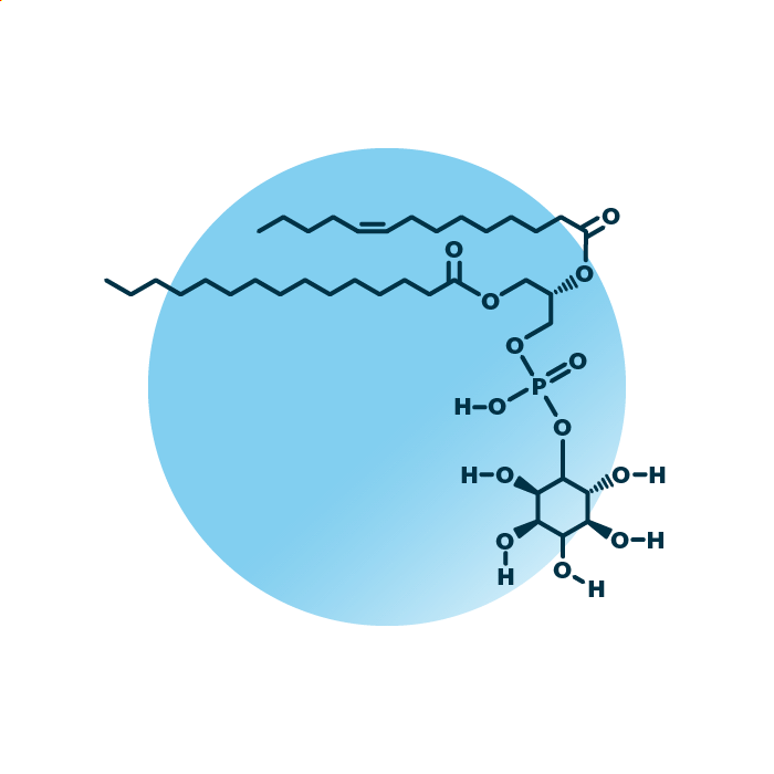 An example for the molecular structure of phosphatidylinositol, specifically PI 14:1;0_15:0;0.