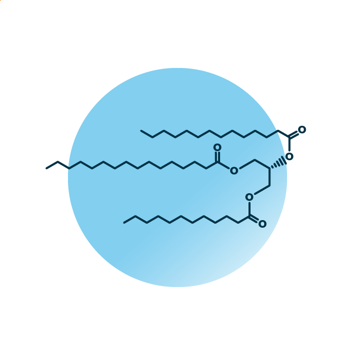 An example for the molecular structure of triacylglycerol, specifically TAG 42:0;0.