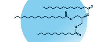 An example for the molecular structure of triacylglycerol, specifically TAG 42:0;0.