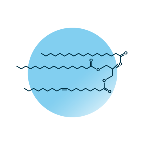 An example for the molecular structure of triacylglycerol, specifically TAG 53:1;0.