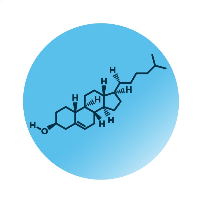 General molecular structure of cholesterol.