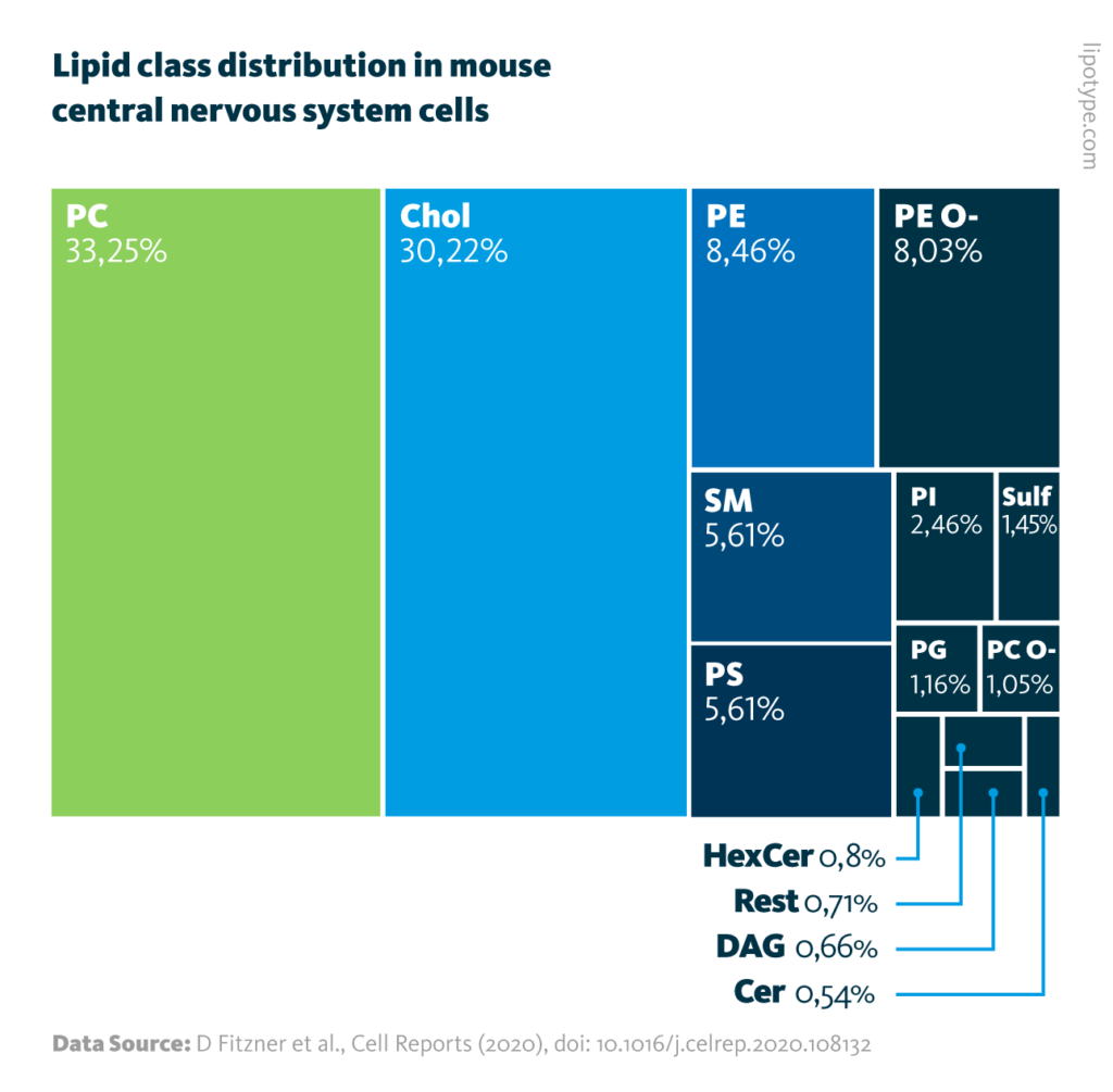 A scientific graph displaying the average distribution of the 13 most abundant lipid classes in primary cell cultures of neurons, oligodendrocytes, microglia, and astrocytes.
