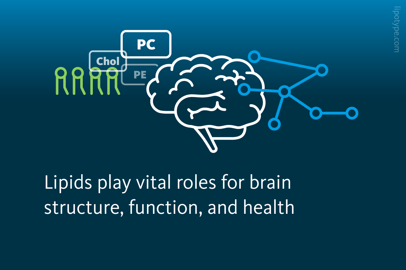 Slide 2: Lipids play vital roles for brain structure, function, and health.