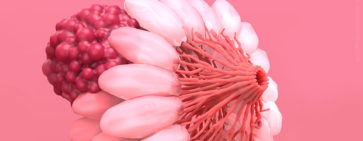 An abstract computer render of the anatomy of the breast of a female human.