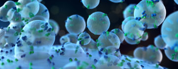 A computer render of exosomes entering a cell.