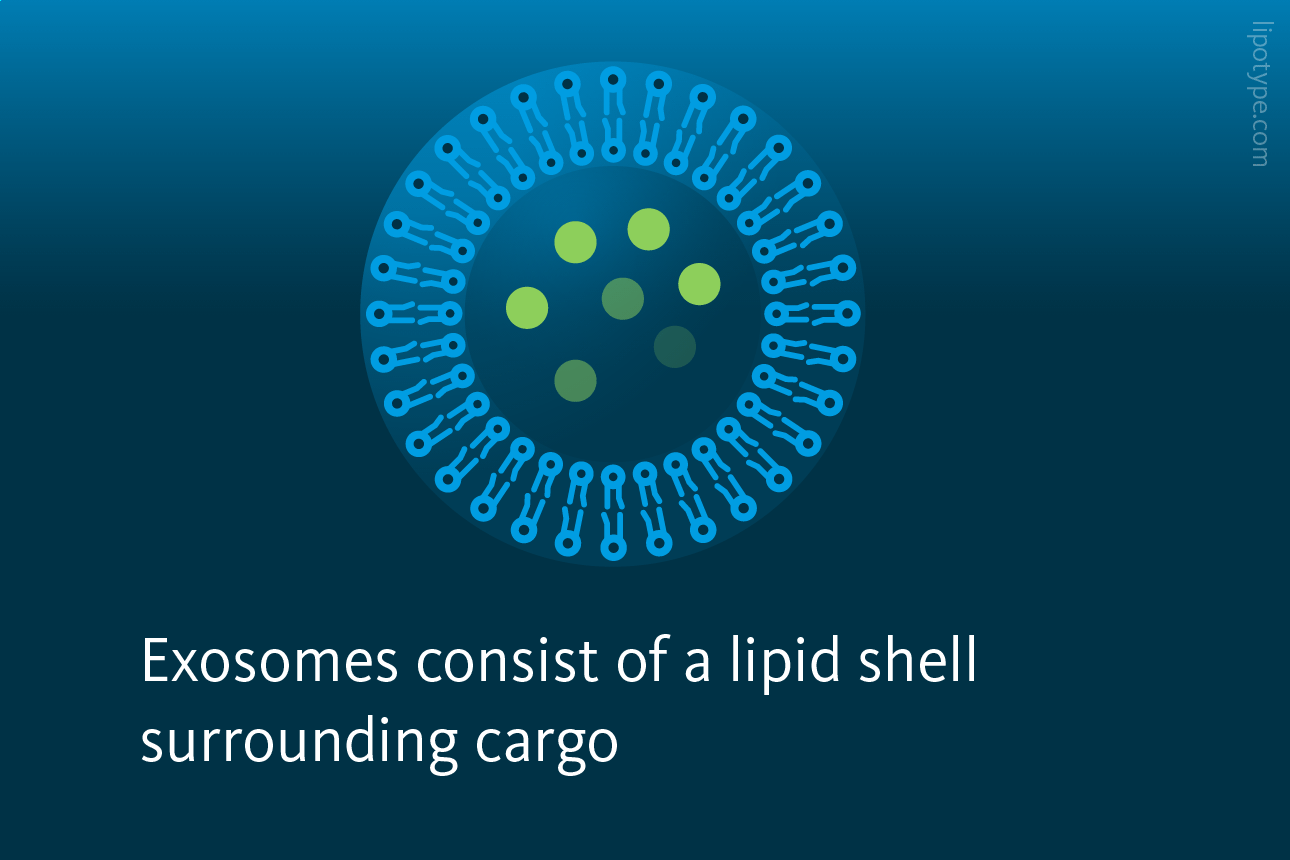 Slide 2: Exosomes consist of a lipid shell surrounding cargo.