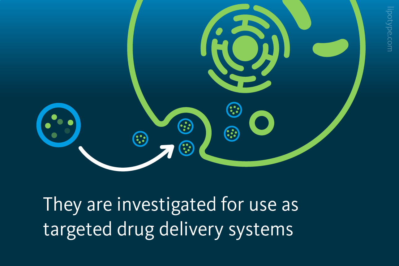 Slide 3: Exosomes are investigated for use as targeted drug delivery systems.