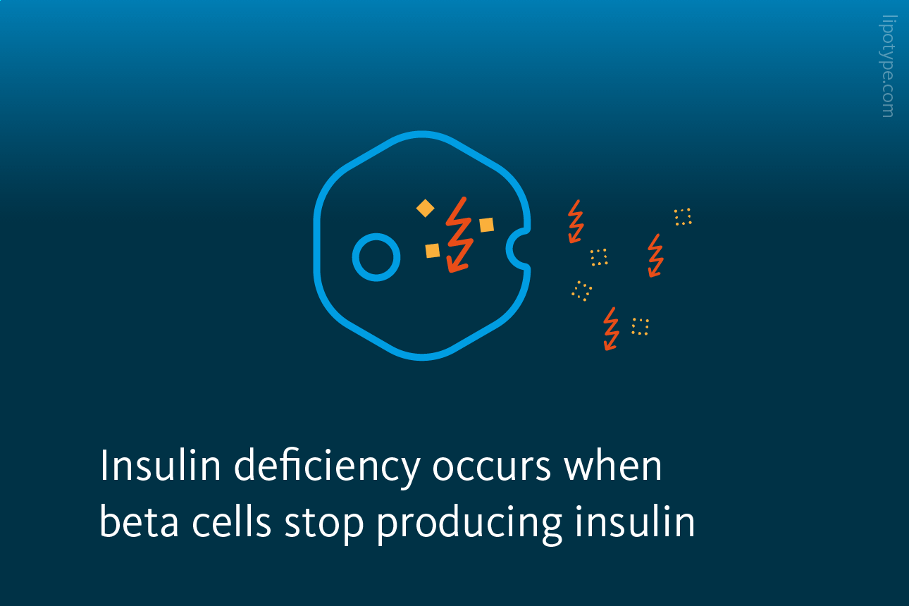 Slide 2: Insulin deficiency occurs when beta cells stop producing insulin.