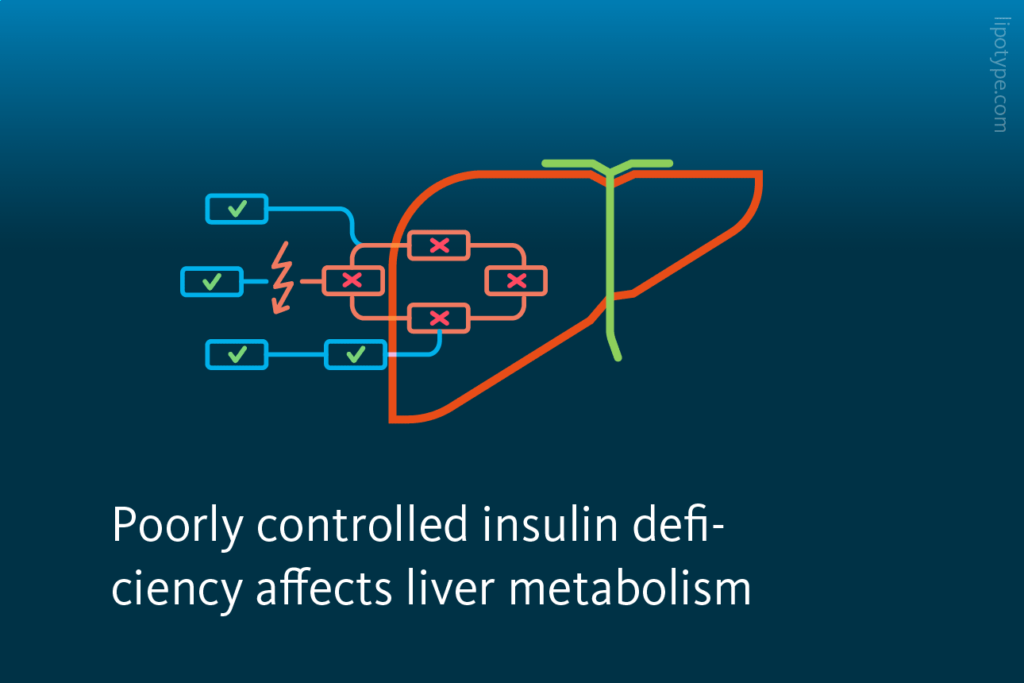 Slide 3: Poorly controlled insulin deficiency affects liver metabolism.