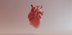 A computer render of the human heart.