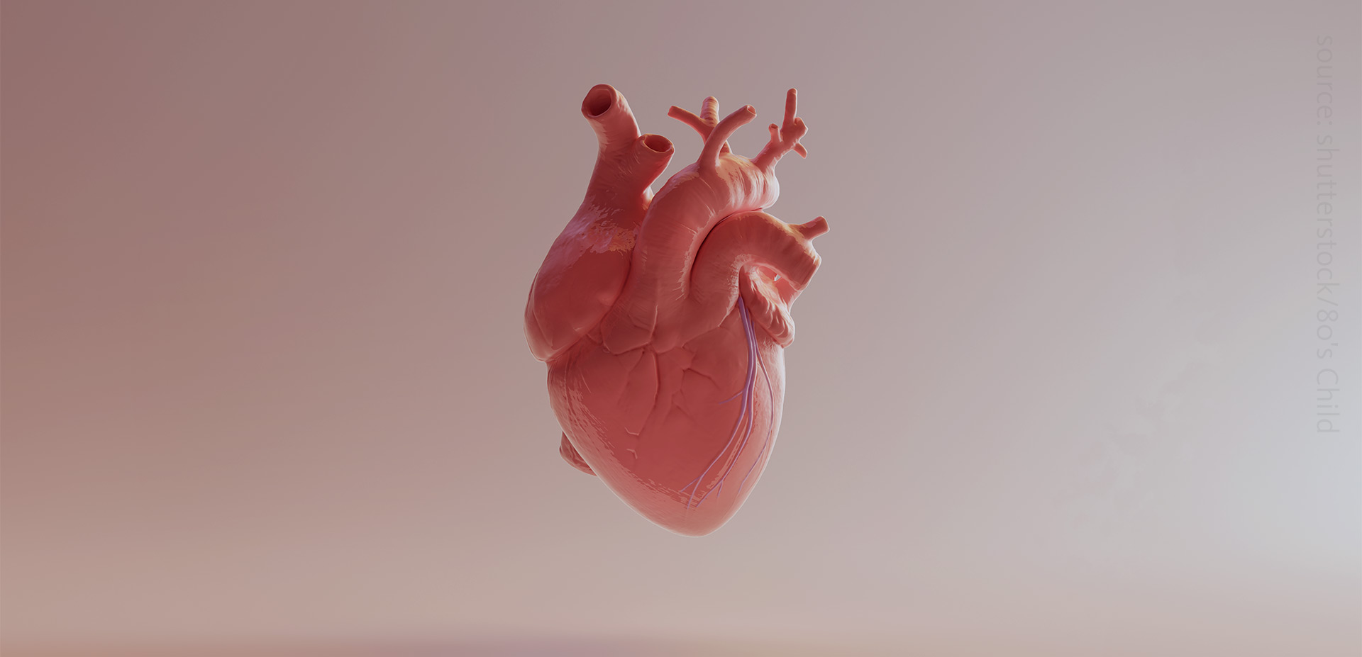 Cardiac lipid metabolism in heart failure