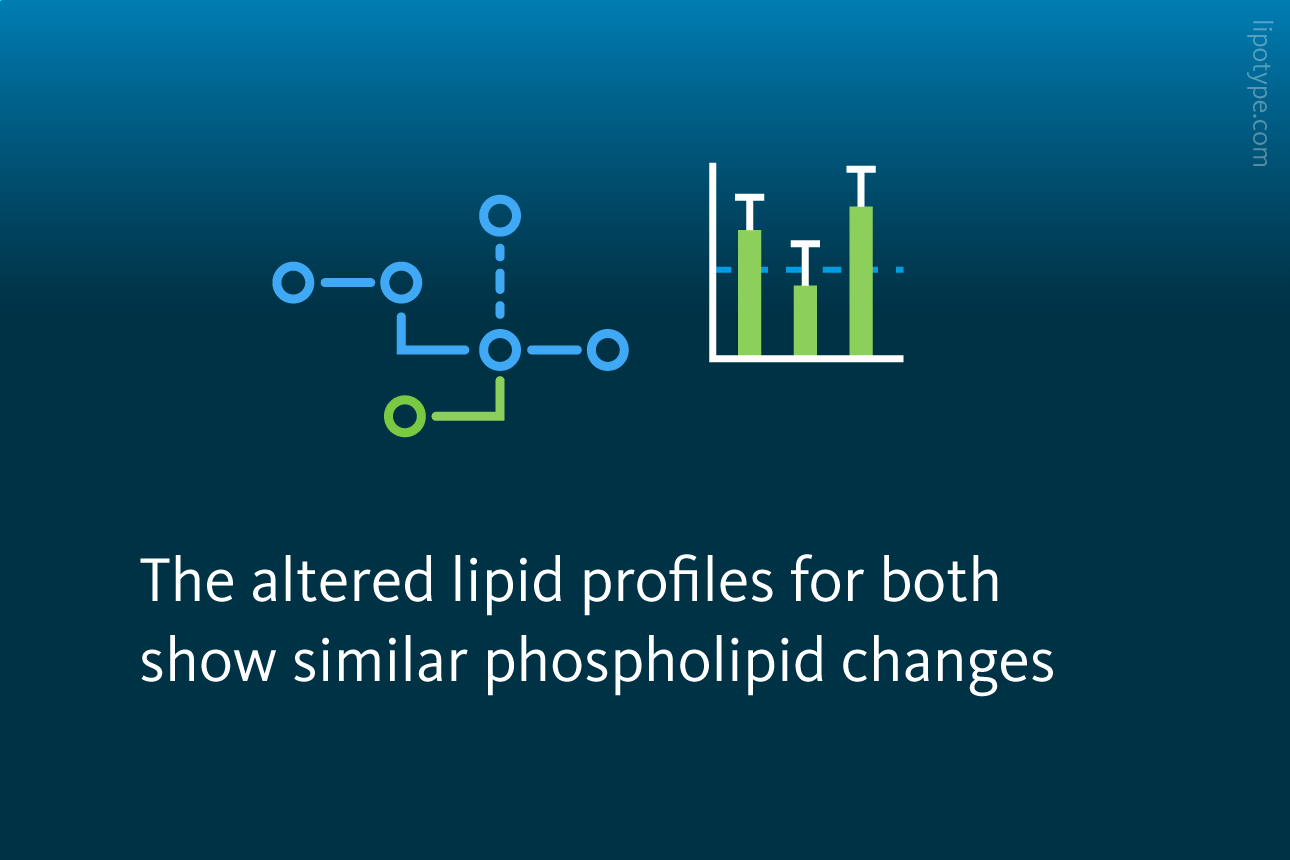 Slide 3: The altered lipid profiles for both show similar phospholipid changes.