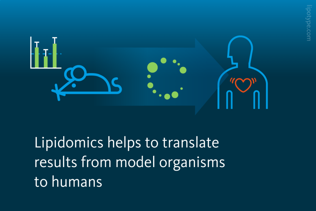 Slide 4: Lipidomics helps to translate results from model organisms to humans.