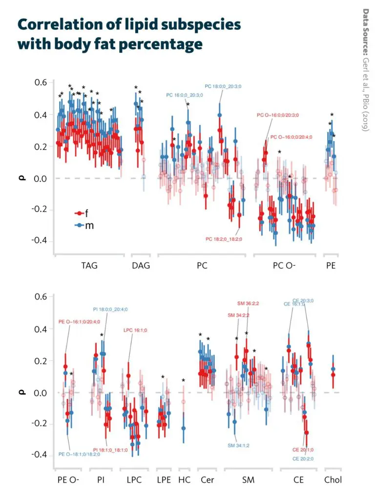 Spearman correlation coefficients (ρ) and their 95% confidence intervals for each sex (male and female) and adjusted for subject age are shown for lipid subspecies. Correlations with p < 0.05 are shown with filled points, whereas correlations with p > 0.05 are shown transparently. Significant differences between male and female correlations are indicated by an asterisk (*).